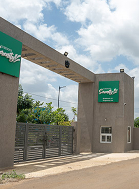 Play Area